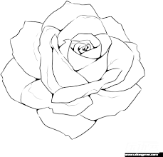 Download Rose Line Drawing Template Realistic Rose Outline Drawing Full Size Png Image Pngkit Download this line art drawing one continuous lineart of a hand holding minimalist style, one, lover, valentine png clipart image with transparent background. realistic rose outline drawing