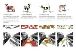 Rspca Kennels Burwood Site Office
