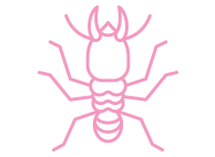 Palmaire ave, glendale (az), 85301, united states. Wagner Pest Solutions Top Termite Pest Control Service