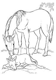 Neem je verbeelding naar een nieuw realistisch niveau! 25 Best Horse Coloring Pages Your Toddler Will Love To Color Dieren Kleurplaten Kleurplaten Mandala Kleurplaten
