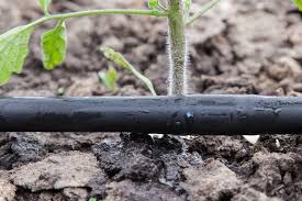 Fr?quence et dur?e arrosage goutte ? 6 Systemes D Arrosage Pour Le Jardin Jardiner Malin