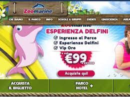 So che in italia è vietato.ho provato a vedere un po' fuori italia sempre sul mediterraneo, ma i prezzi sono poco rassicuranti :( vorrei fare un regalo al mio L Esperienza Educativa Di Zoomarine Con I Delfini Lav Chiede Al Ministro Costa Di Intervenire Corriere It