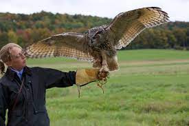 The moscow falconers' club updated their phone number. Falconry The Woodstock Inn And Resort