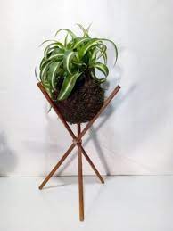 Ciascuno per circa 200 dollari. Ehi Ho Trovato Questa Fantastica Inserzione Di Etsy Su Https Www Etsy Com It Listing 715162833 Kokedama Nastrino Chlo Kokedama Kokedamas Ideas Pretty Plants