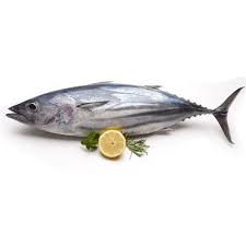 Lovely amateur teen girls pictures (pages: Tuna Fish For Restaurant And Household Rs 150 Kilogram Global Fish Id 16959923855