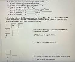 Some of the worksheets displayed are monohybrid punnett square practice, chapter 10 dihybrid cross work, punnett squares dihybrid crosses, genetics work, monohybrid crosses and the punnett square. Which Is Homozygous Dominant
