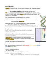 Download free building dna gizmo answers. Gizmo Warm Up The Building Dna Gizmo Allows You To Construct A Dna Molecule And Course Hero