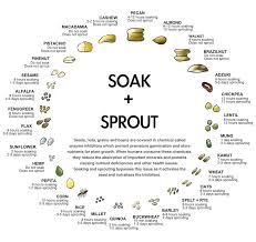 Soak And Sprout Chart In 2019 Raw Nuts Sprouts Healthy