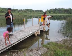 12 reviews of seven lakes state park seven lakes state park, has it all. Seven Lakes State Park At The Dawn Of Summer Oakland County Blog