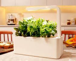 The Smart Garden 3 Herbs Indoors Smart Garden Growing Herbs