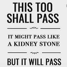 This Too Shall Pass Kidney Stone Meme Kidney Stones Funny Stone Quotes