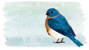 The Bluebird Of Happiness Live Happy
