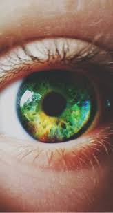 Peki Bunlar Renkli Gozse Bizimki Ne Oluyor Diye Dusundurten Birbirinden Guzel 35 Renkli Goz Cool Eyes Pretty Eyes Eye Pictures