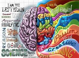 More Right Brain Vs Left Brain Positivemed Brain Illustration Right Brain Left Brain Right Brain