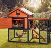 Amazon.com: Gallinero al aire libre de 65 pulgadas, jaula ...