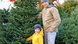 Weihnachtsbaum tannenbaum christbaum tanne baum weihnachten geschmückt 30 cm. Bio Weihnachtsbaume Kaufen In Der Schweiz