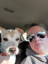 If you needs any of this please inform me in my DM, this is my number  08082329919