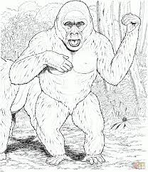 Enjoyable free printable animals homeworks for the gorilla : Cute Gorilla Coloring Pages Coloring Home
