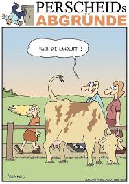 Maybe you would like to learn more about one of these? Witze Seite 45 Lustiges Zum Hund Das Hundeforum