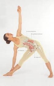 How To Do The Parivrtta Trikonasana And What Are Its Benefits Relaxing Yoga Yoga Anatomy Yoga Life