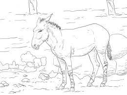 Kids, especially boys, have a great fascination with trucks of all kinds. Somali Art Coloring Pages Exeranmat Coloring