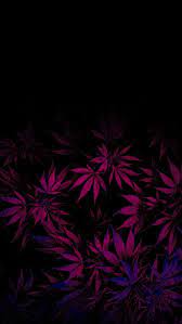 Pin On Cannabis