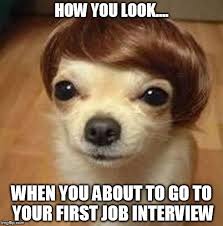 Trending images, videos and gifs related to job! 9 Memes Any Job Seeker Can Relate To