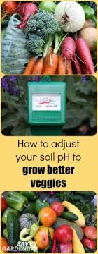 You are in for a pleasant surprise when you visit us for the first time. Soil Ph And Why It Matters