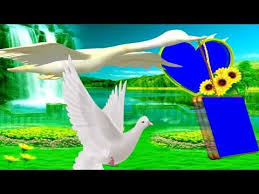 Wedding Green Screen Effect Background Green Screen Shaadi Frame Vfx Youtube Green Screen Backgrounds Green Screen Video Backgrounds Green Screen Photo