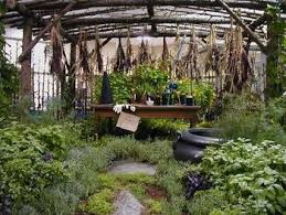 A Witches Garden Witch Garden Witchy Garden Magical Garden