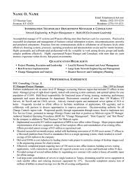 It Consultant Resume Example
