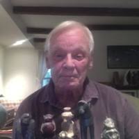 PDF) Tarzan and ferality