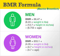 Once you've calculated your bmr, this is then put into the harris benedict formula , which calculates your total calorie intake required to maintain your current weight. Bmr Formula Basal Metabolic Rate