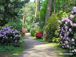 Hamburgs Schonste Parks Im Fruhling Parks Schone Anlage Hamburg