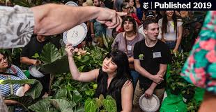 You can also email marlene questions, future. How Much Would You Pay For A Houseplant The New York Times