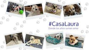 Perfil de Asociación protectora La LUZ De LAURA