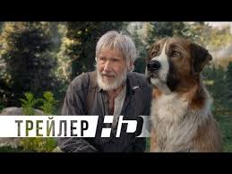 Film Zov Predkov Call Of The Wild Foto Video Spisok Akterov Vokrug Tv