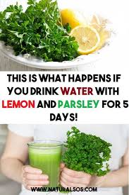 This Is What Happens If You Drink Water With Lemon And Parsley For 5 Days Lemon Juice Benefits Lemon Water Health Benefits Healthy Body Cleanse