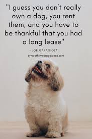 My sympathies for losing your best friend. 57 Heartbreaking Loss Of Dog Quotes Images Comforting Ways To Remember Your Pal Sympathy Card Messages