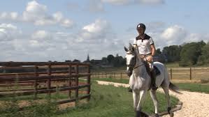 Grégory wathelet (born 10 september 1980) is a belgian equestrian who competes in the sport of show jumping. Gregory Wathelet En Mode Confinement Rtc Tele Liege