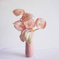 Laceleaf Anthurium Or The So Called Flamingo Flower Hardly Any Other Plant Has Such A Noble Unique Flowers Pretty Flowers Flower Arrangements