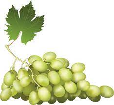 Green Grapes Png Image Green Grapes Grapes Png Images