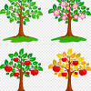 Whether you have room for a few fruit trees incorporated into your garden or a couple of rows of them, then to a degree, you have an orchard. Https Encrypted Tbn0 Gstatic Com Images Q Tbn And9gcrpbxmqdecrdxk 45ijbtvsldcubdqm2hetk 0d4ki Usqp Cau