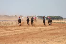 Funds are raised in aid of the royal flying doctor service of australia. The Birdsville Races Odyssey Traveller