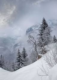 Winter Snowy Mountain Painting Inspiration With Evergreen Trees And Snow Stormy Sky Winter Landscape Winter Scenery Winter Pictures