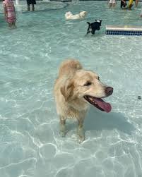 Ann Bollinger (@profbollinger) • Instagram photos and videos