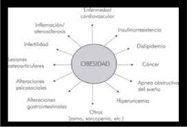 Check spelling or type a new query. Comorbilidades Asociadas Con La Obesidad Download Scientific Diagram