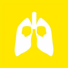 What causes stage iv lung cancer? Lung Cancer Guide To Best Cancer Care Cancer Council