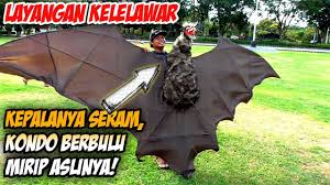 Maybe you would like to learn more about one of these? Terlalu Mirip Dengan Aslinya Layangan Kelelawar Bukal Ini Due Bored Team Gatsu 6 Gagah Youtube