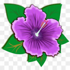 Search through 623,989 free printable colorings at getcolorings. Red Flower Png Clip Art Image Transparent Background Hibiscus Flower Png Png Download 8000x3780 221911 Pngfind